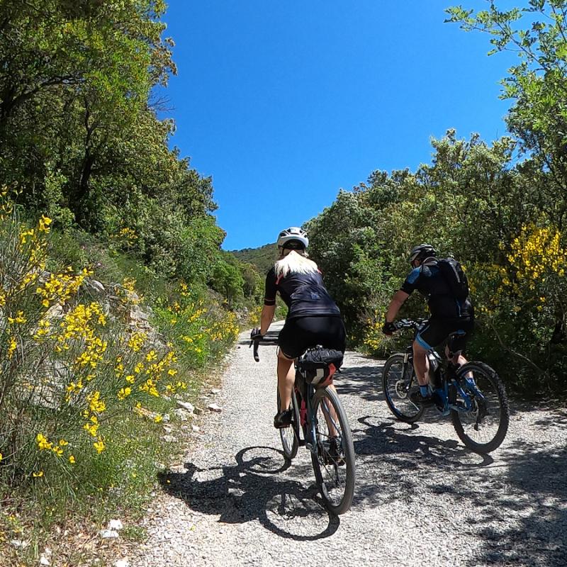 Tour delle Terre Arnolfe MTB