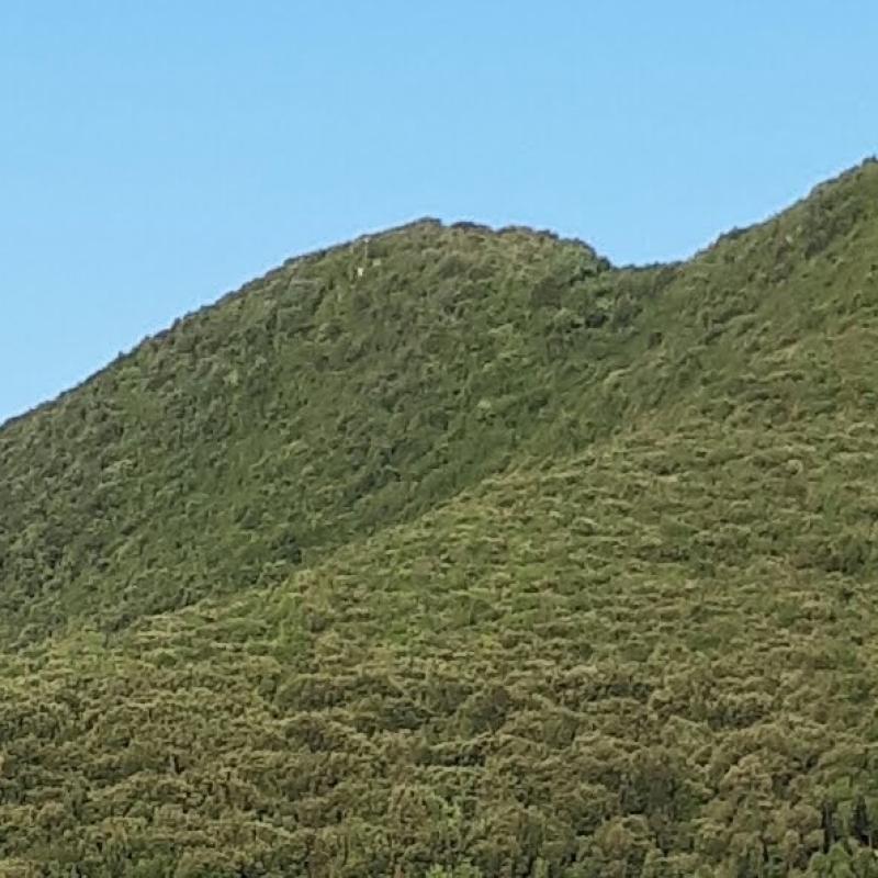 Cesi-Carsulae