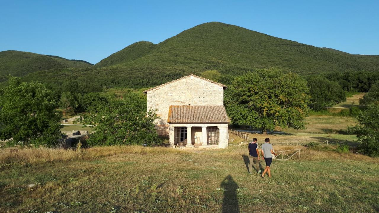 Cesi-Carsulae