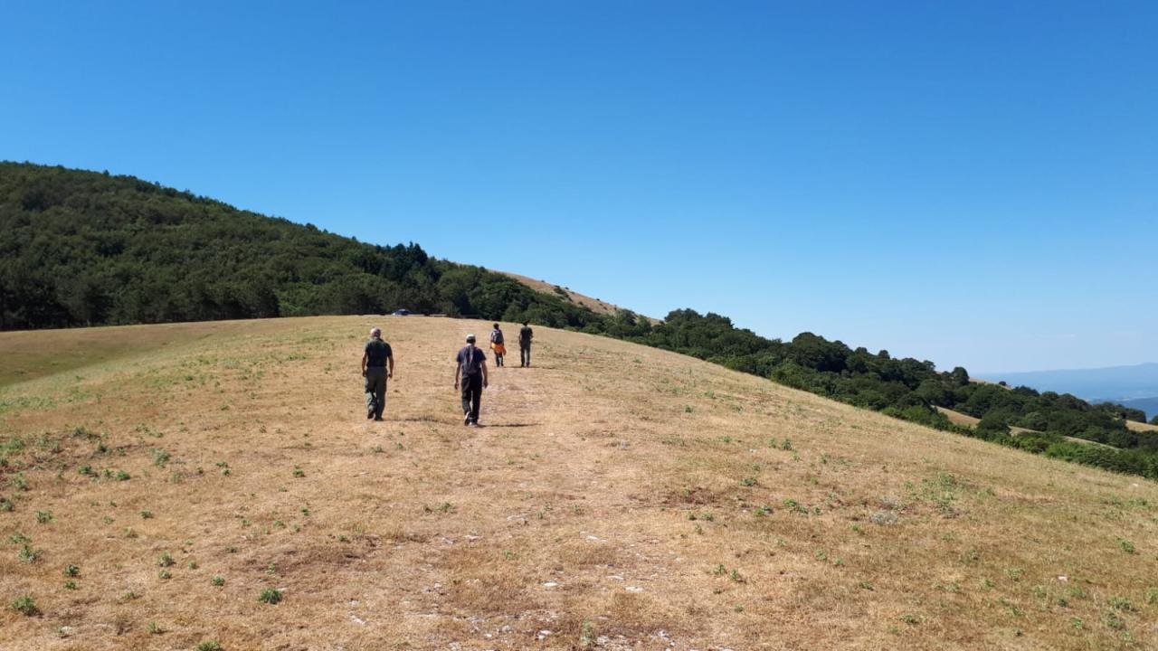 Monte Torre Maggiore