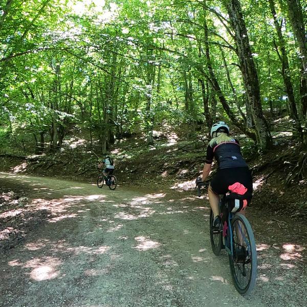 /sites/default/files/2023-03/mtb-terre-arnolfe1.jpg