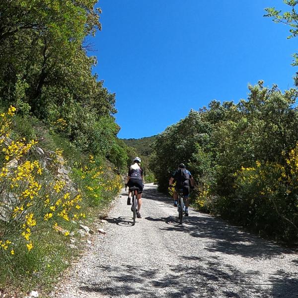 /sites/default/files/2023-03/mtb-terre-arnolfe9.jpg