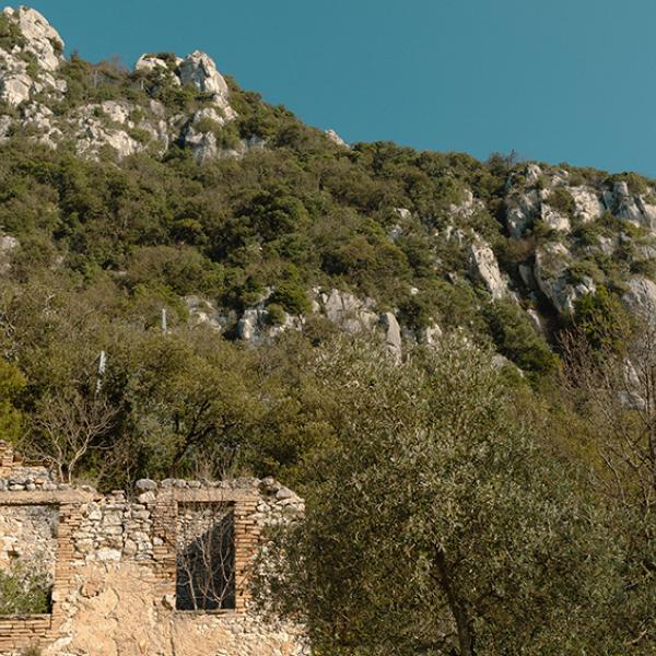 /sites/default/files/2023-03/s-onofrio-2.jpg