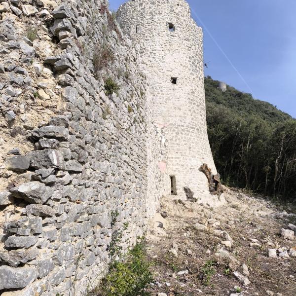 /sites/default/files/2025-03/torre2.jpg