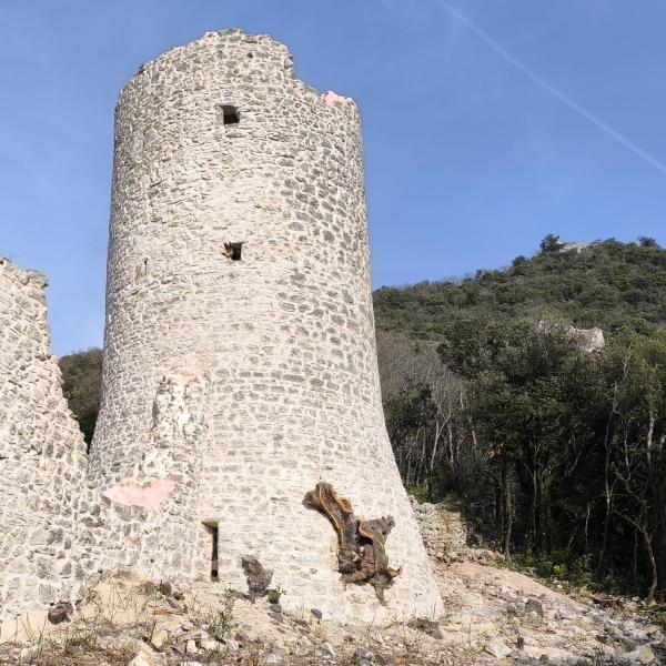 /sites/default/files/2025-03/torre3.jpg